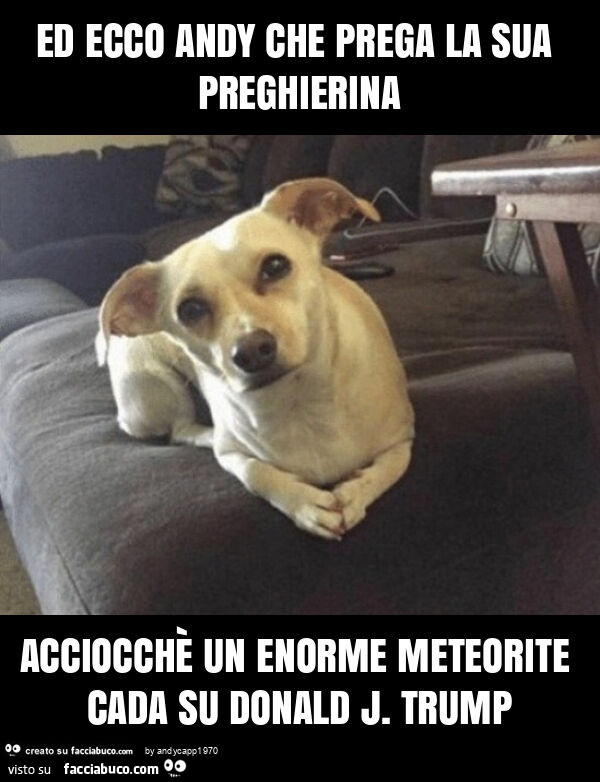 Ed ecco andy che prega la sua preghierina acciocchè un enorme meteorite cada su donald j. Trump