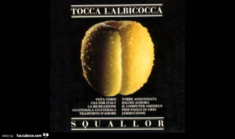 Vaccata