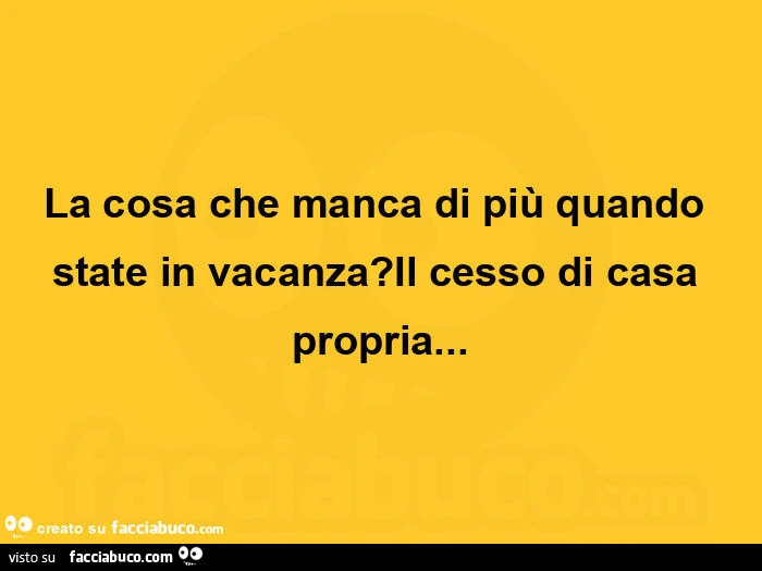 La cosa che manca di più quando state in vacanza? Il cesso di casa propria