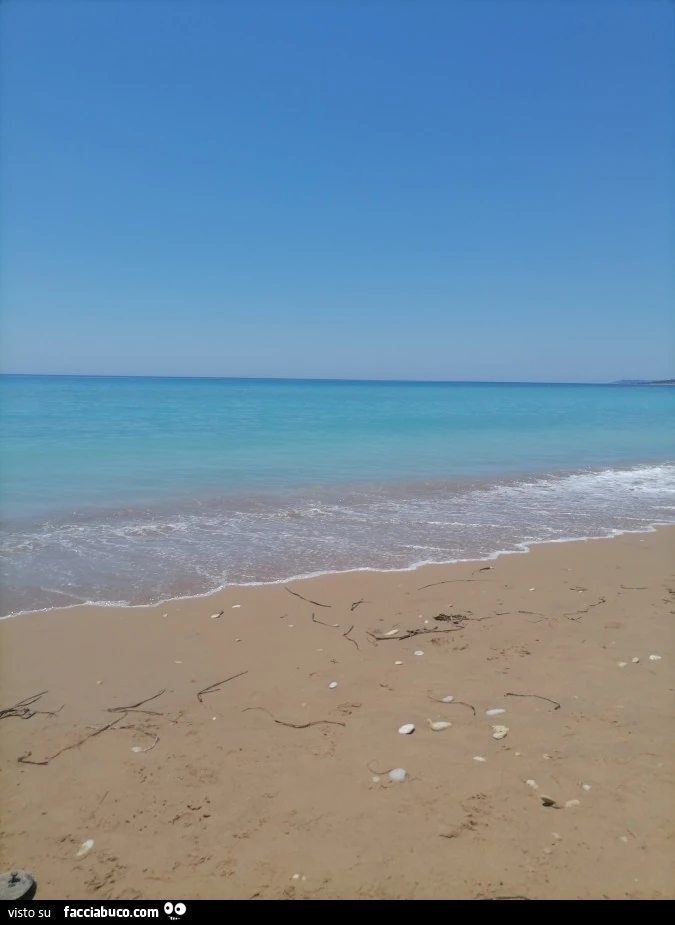 Troppo afa 45 gradi
