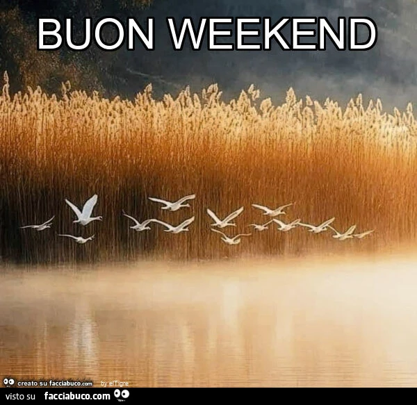 Buon weekend