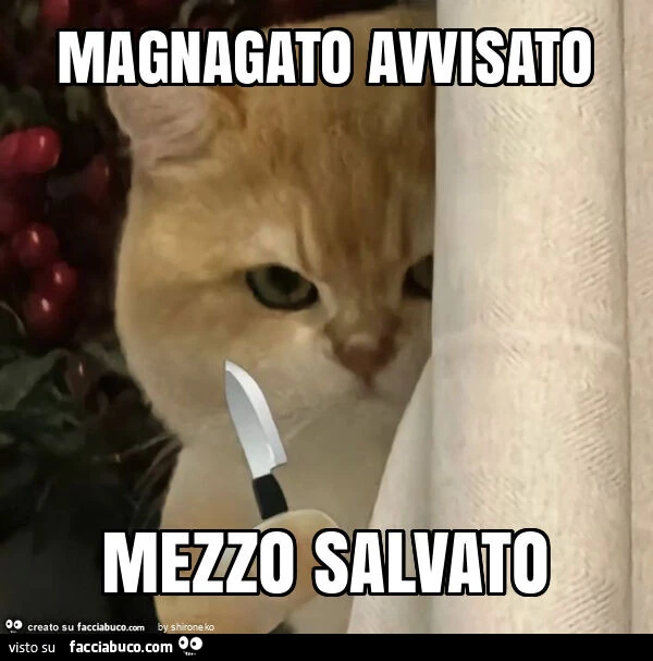 Vaccata