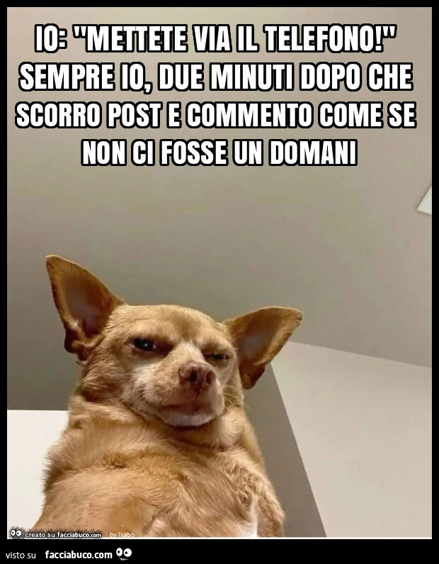 Io: "mettete via il telefono! " Sempre io, due minuti dopo che scorro post e commento come se non ci fosse un domani