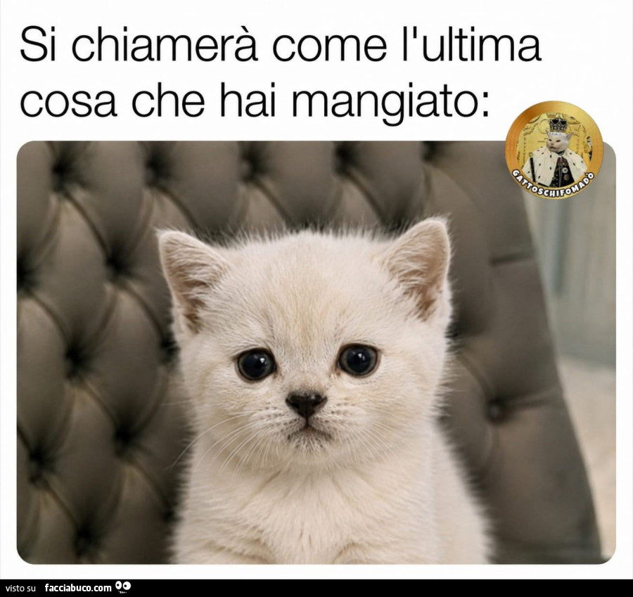 Vaccata