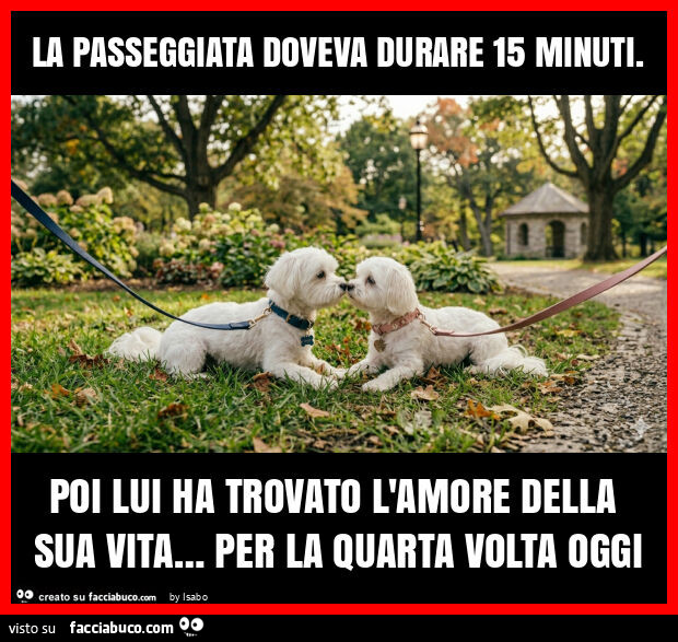 La passeggiata doveva durare 15 minuti. Poi lui ha trovato l'amore della sua vita&hellip; per la quarta volta oggi