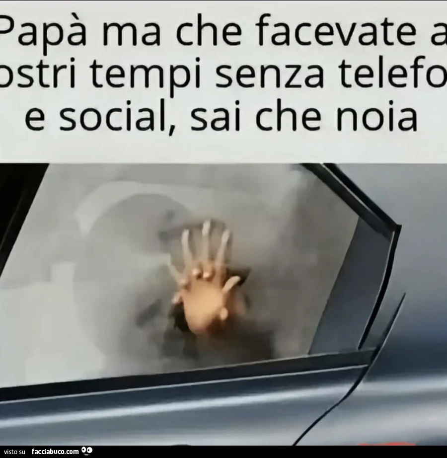 Vaccata