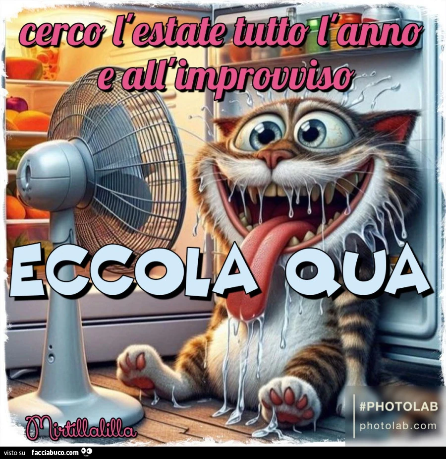 All'improvviso eccola qua