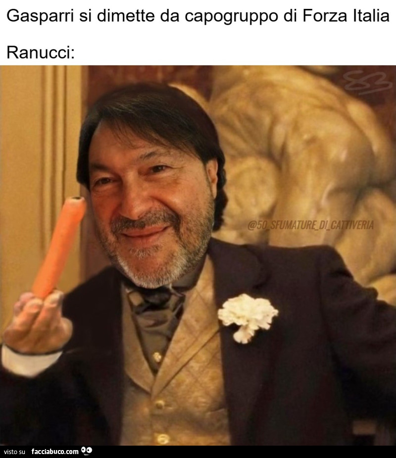 Gasparri si dimette da capogruppo di Forza Italia - Ranucci