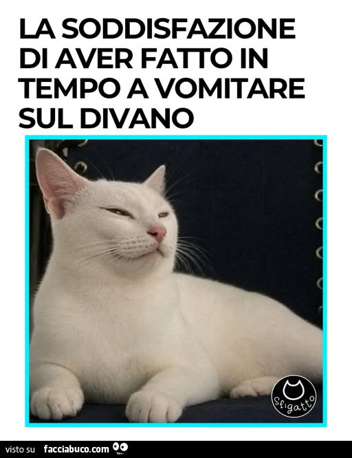Vaccata