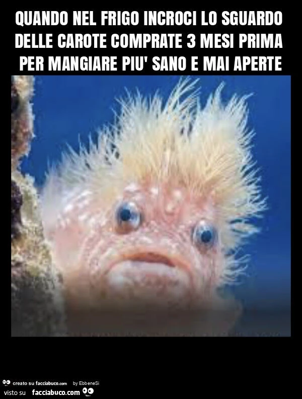 Quando nel frigo incroci lo sguardo delle carote comprate 3 mesi prima per mangiare piรน sano e mai aperte