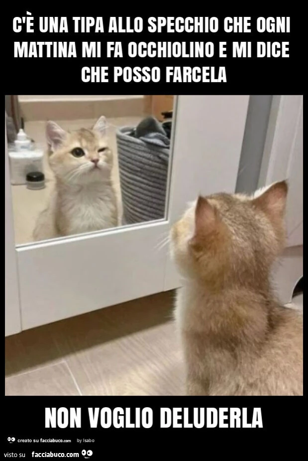 C'è una tipa allo specchio che ogni mattina mi fa occhiolino e mi dice che posso farcela non voglio deluderla