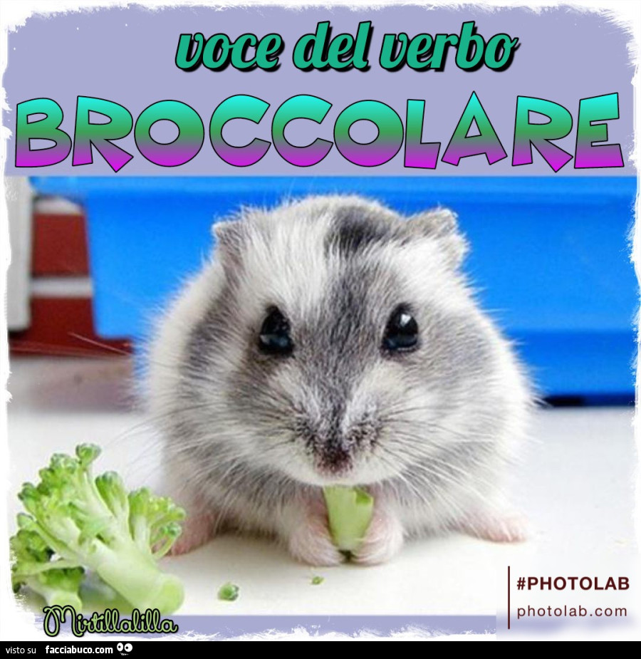 Voce del verbo