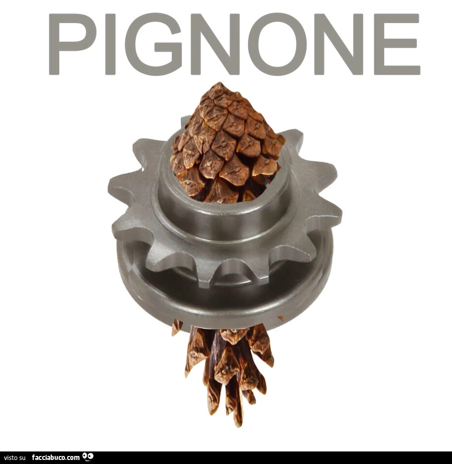 Pignone
