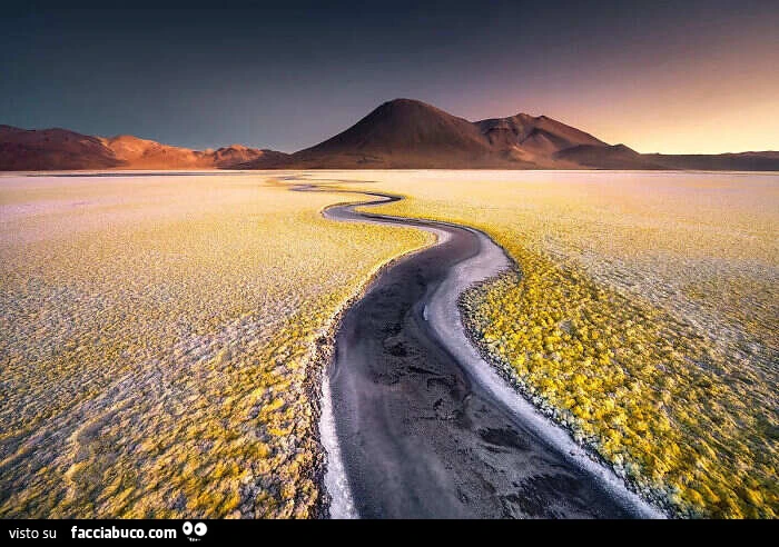 Deserto Salar de Gorbea, Atacama, Ande, Cile, Fotografia di Karol Nienartowicz