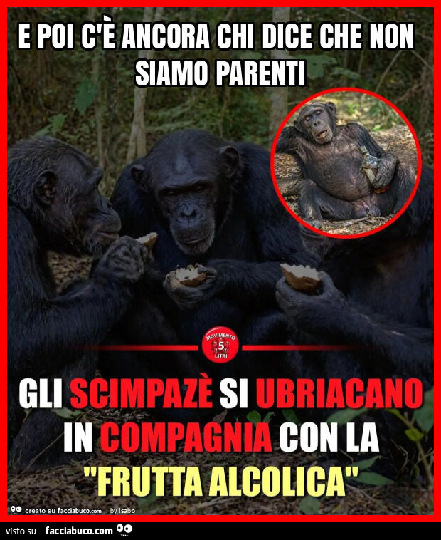 E poi c'è ancora chi dice che non siamo parenti