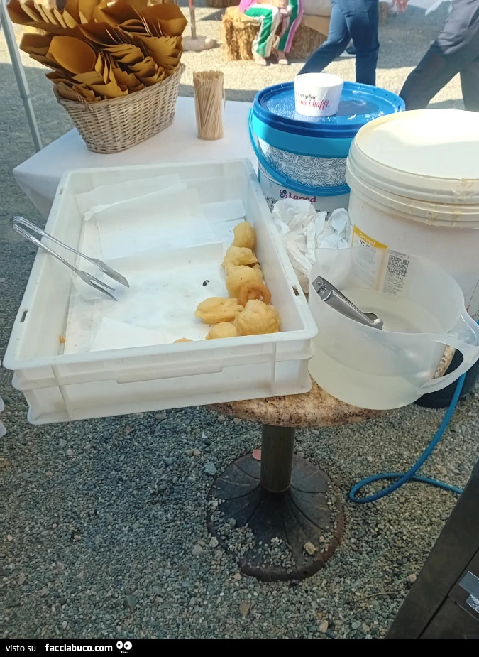Vaccata
