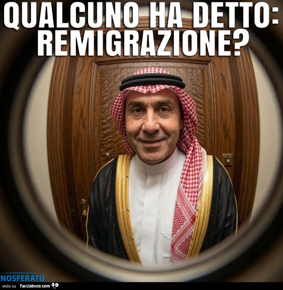 Qualcuno ha detto: REMIGRAZIONE?