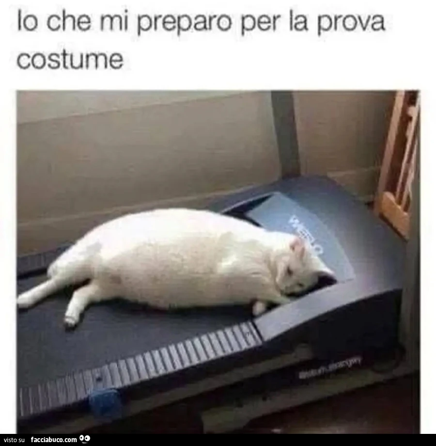 Mi metto in forma