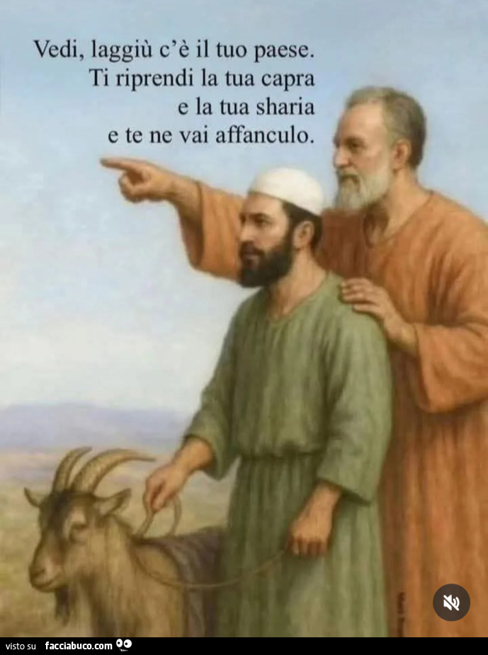 Vaccata