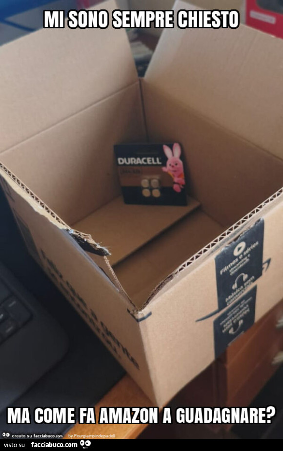 Mi sono sempre chiesto ma come fa amazon a guadagnare?