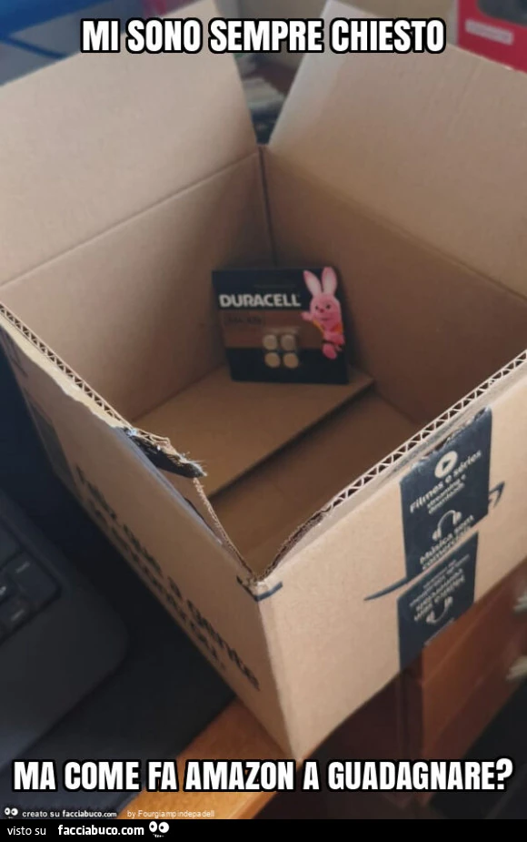 Mi sono sempre chiesto ma come fa amazon a guadagnare?