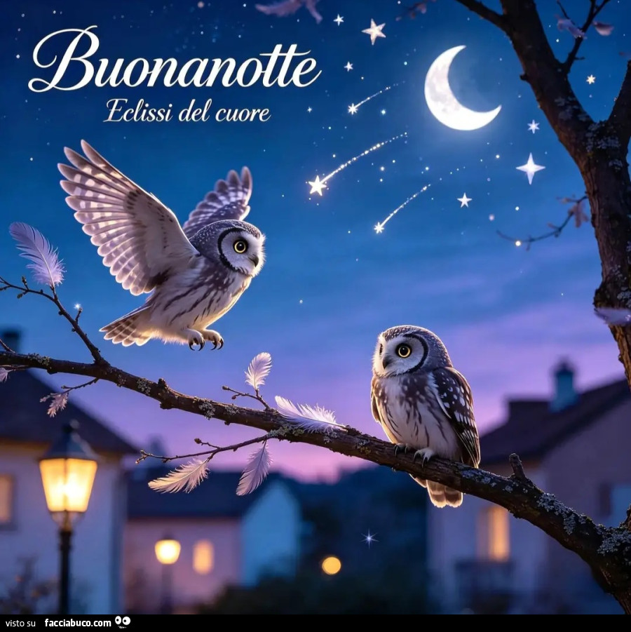'Notte