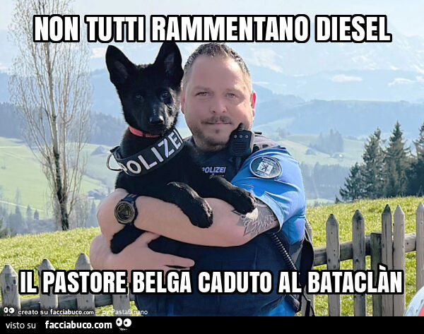 Non tutti rammentano diesel il pastore belga caduto al bataclàn