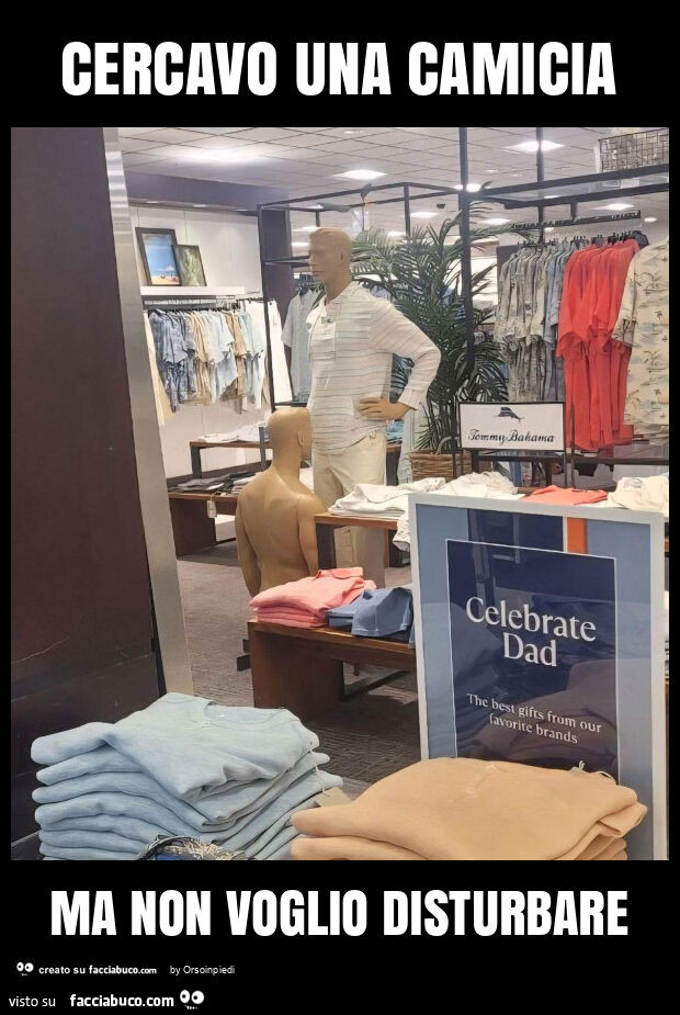 Cercavo una camicia ma non voglio disturbare