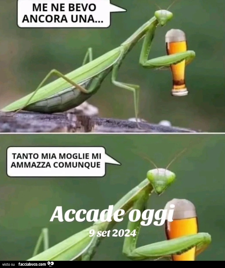 Vaccata