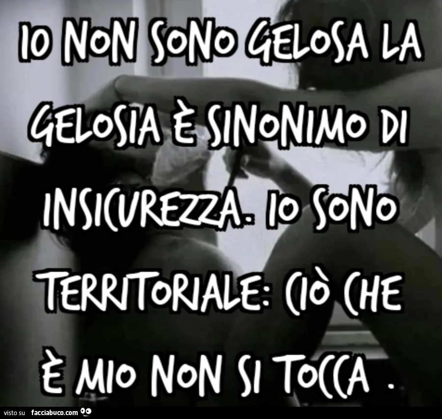 Io NON SONO GELOSA LA GELOSIA È SINONIMO DI INSICUREZZA. Io SONO TERRITORIALE: CIÒ CHE È MIO NON Si TOCCA