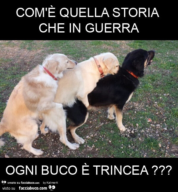 Com'è quella storia che in guerra ogni buco è trincea?