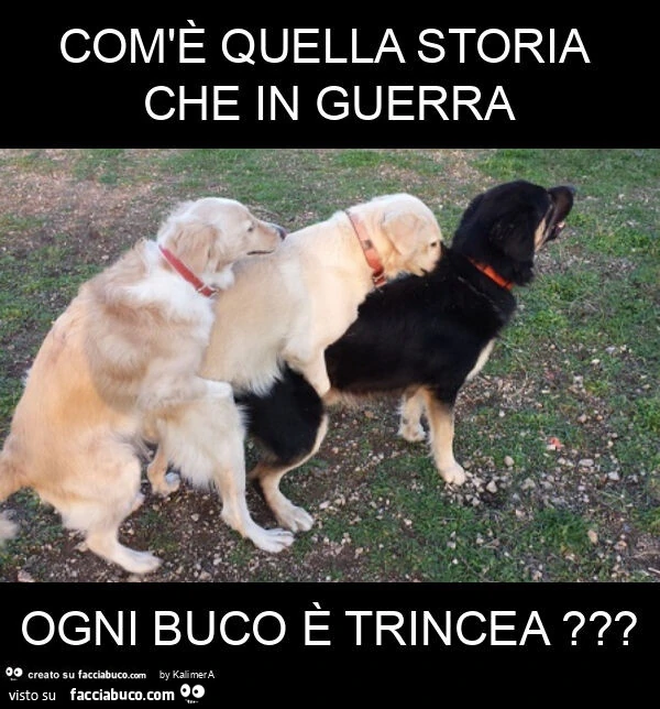 Com'รจ quella storia che in guerra ogni buco รจ trincea?