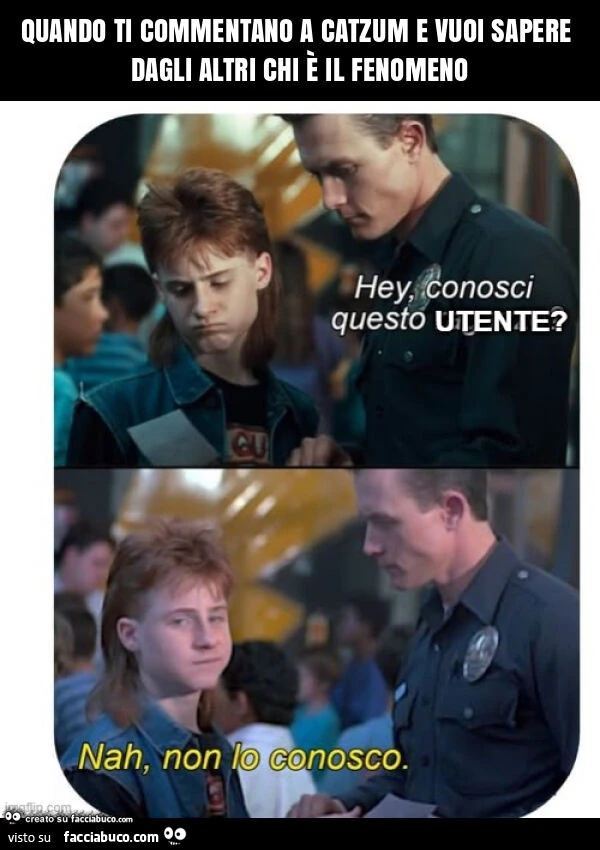 Quando ti commentano a catzum e vuoi sapere dagli altri chi è il fenomeno