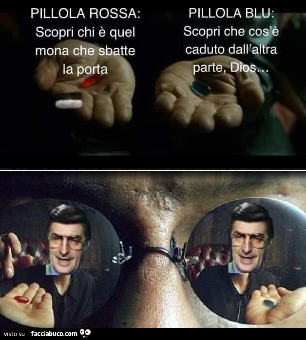 Vaccata