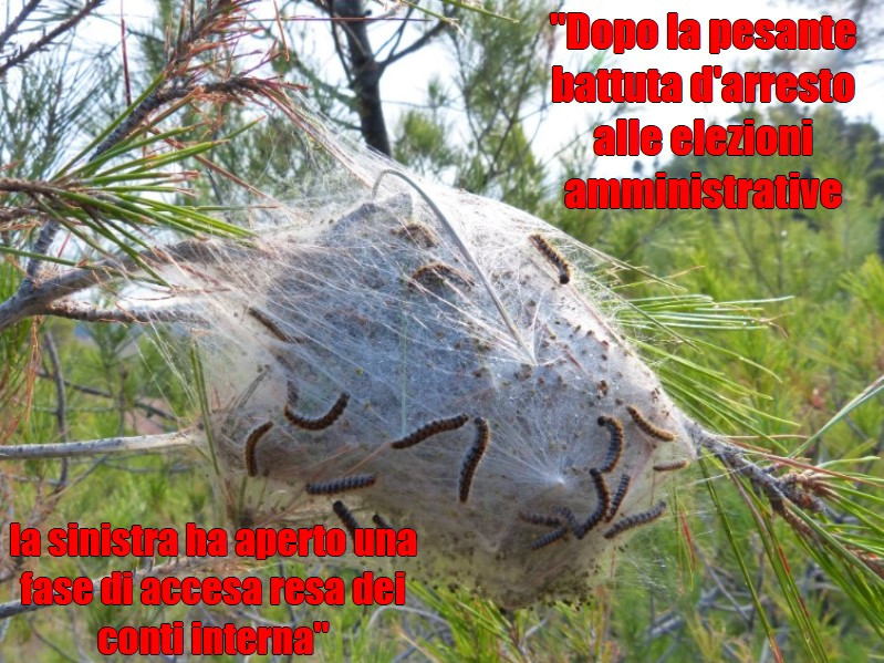Facendo finta di niente