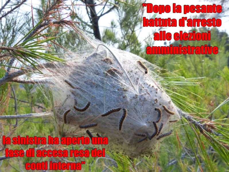 Facendo finta di niente