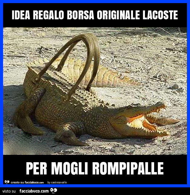Idea regalo borsa originale lacoste per mogli rompipalle