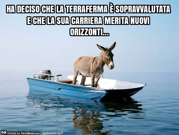 Ha deciso che la terraferma è sopravvalutata e che la sua carriera merita nuovi orizzonti&hellip;