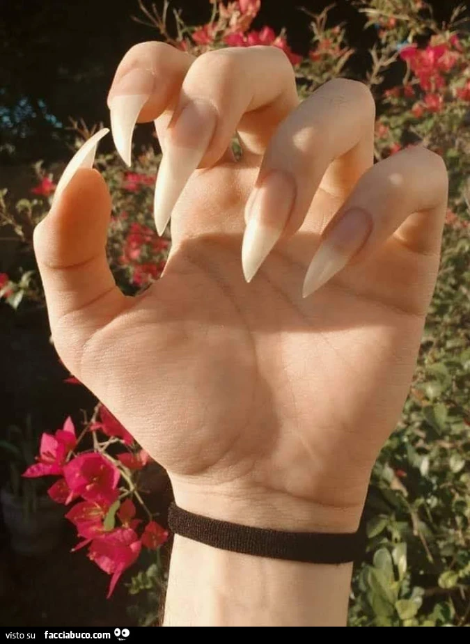 Vaccata