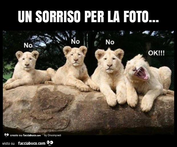 Un sorriso per la foto
