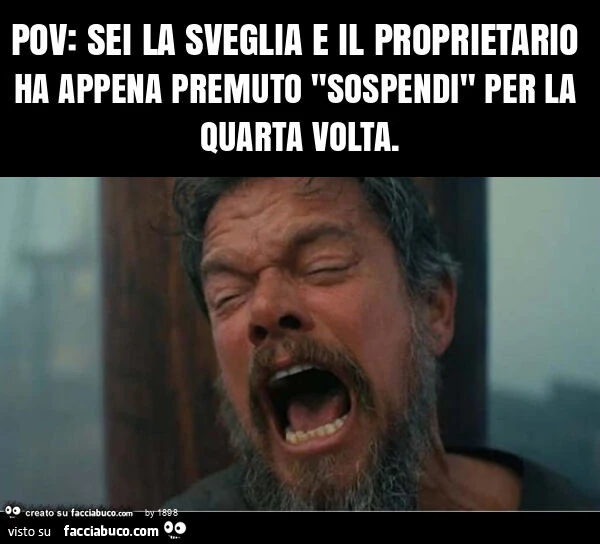 Pov: sei la sveglia e il proprietario ha appena premuto "sospendi" per la quarta volta
