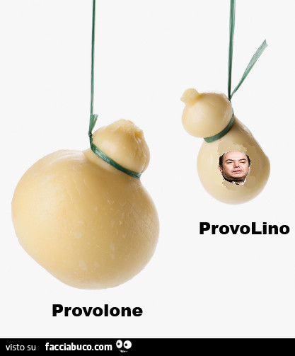 Provolone Provolino