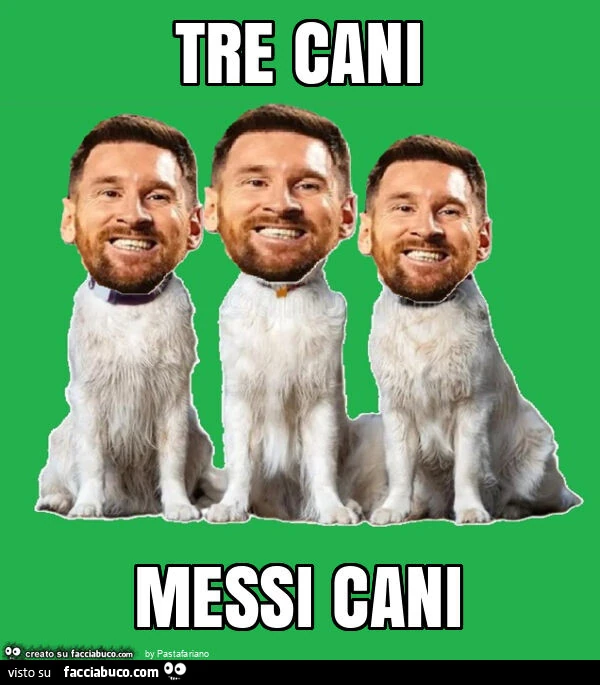 Tre cani messi cani