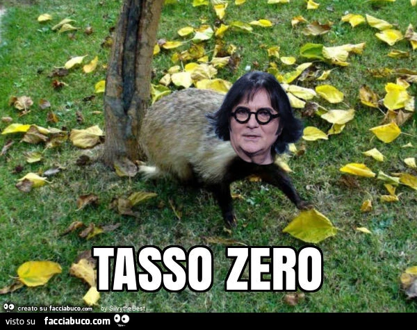 Tasso zero
