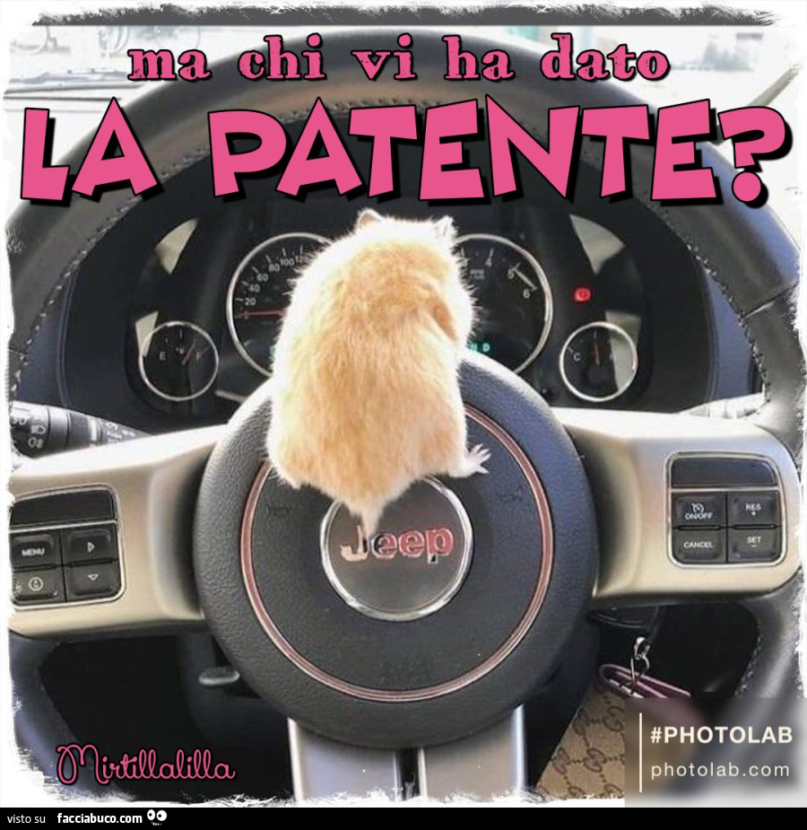 La patente