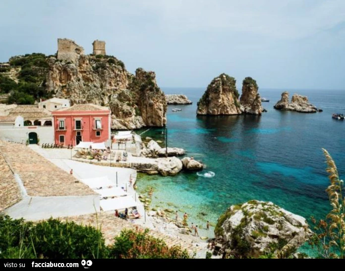 Vaccata