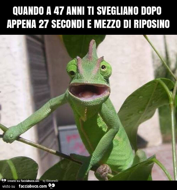 Quando a 47 anni ti svegliano dopo appena 27 secondi e mezzo di riposino