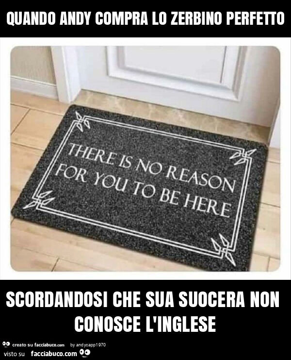 Quando andy compra lo zerbino perfetto scordandosi che sua suocera non conosce l'inglese