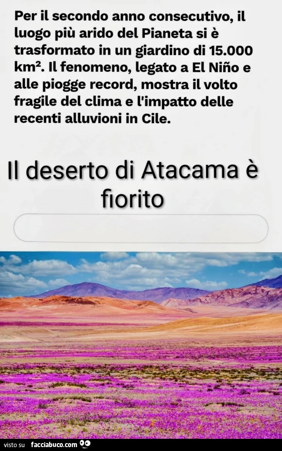 Deserto