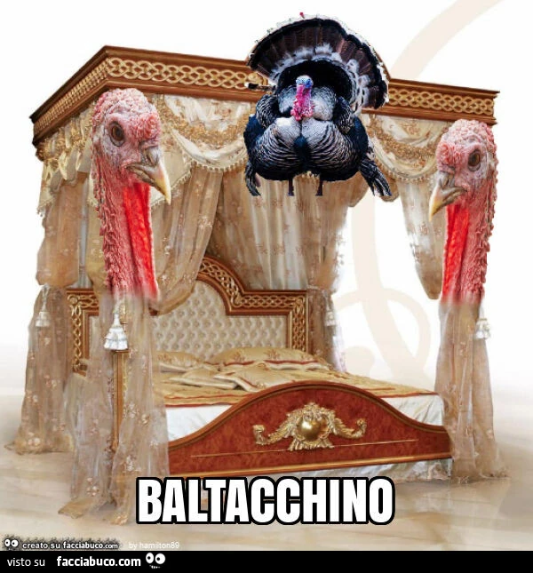 Baltacchino